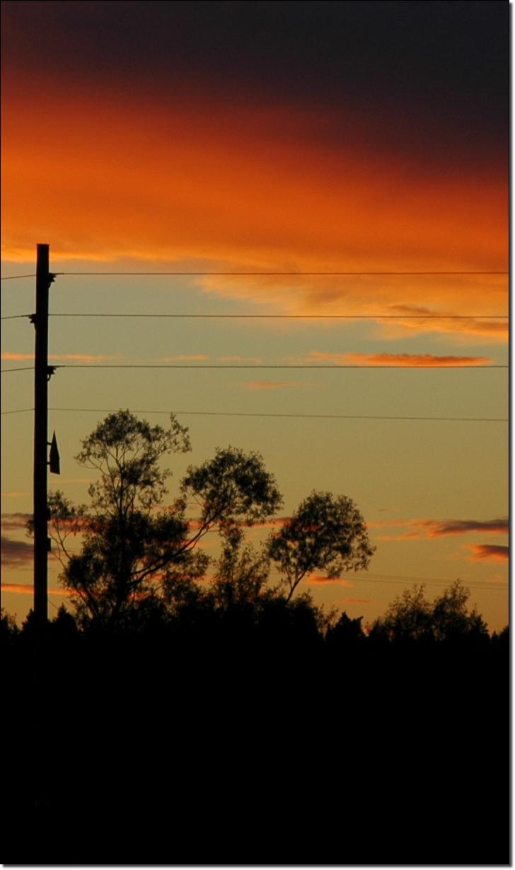 DSC0140a1a